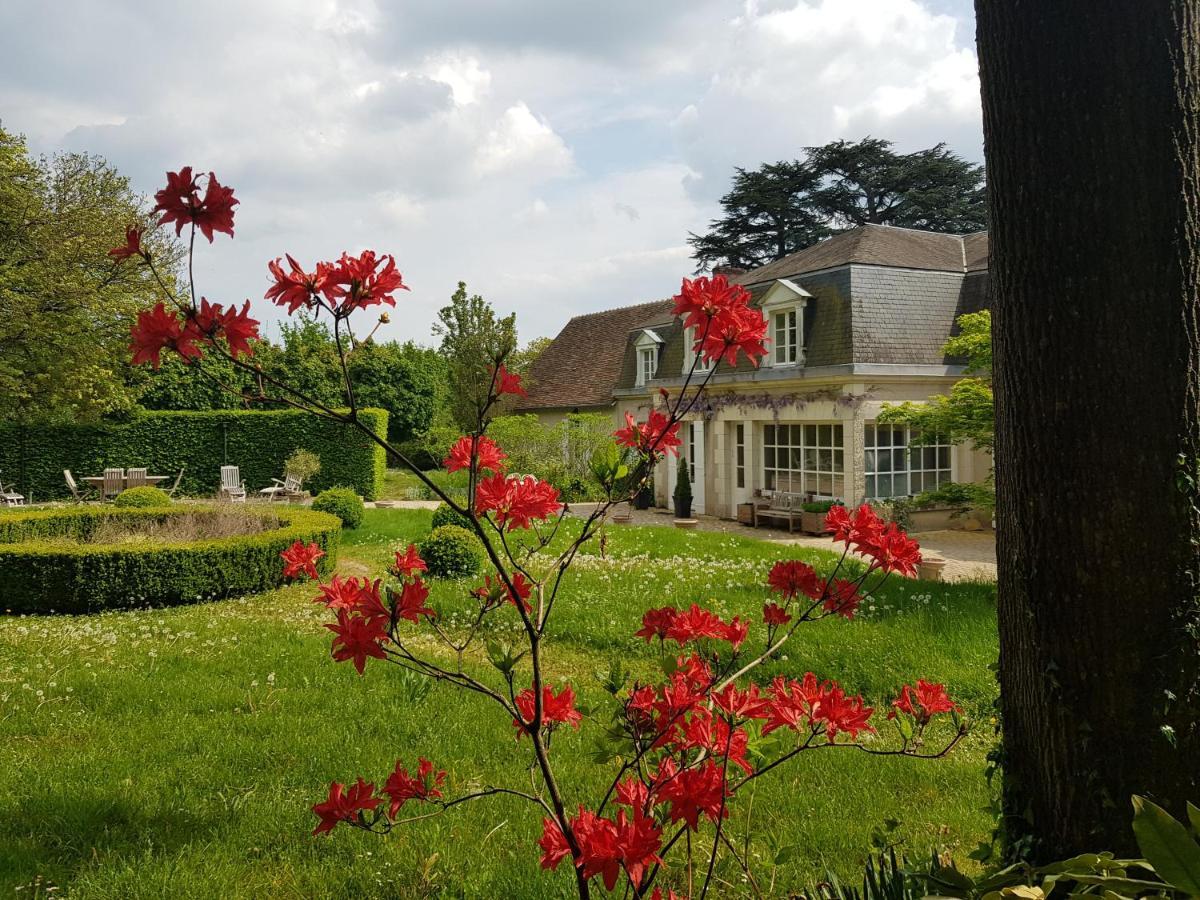 La Taille De Biou Bed and Breakfast Huisseau-sur-Cosson Eksteriør billede